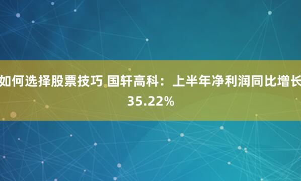 如何选择股票技巧 国轩高科：上半年净利润同比增长35.22%