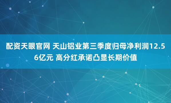 配资天眼官网 天山铝业第三季度归母净利润12.56亿元 高分红承诺凸显长期价值